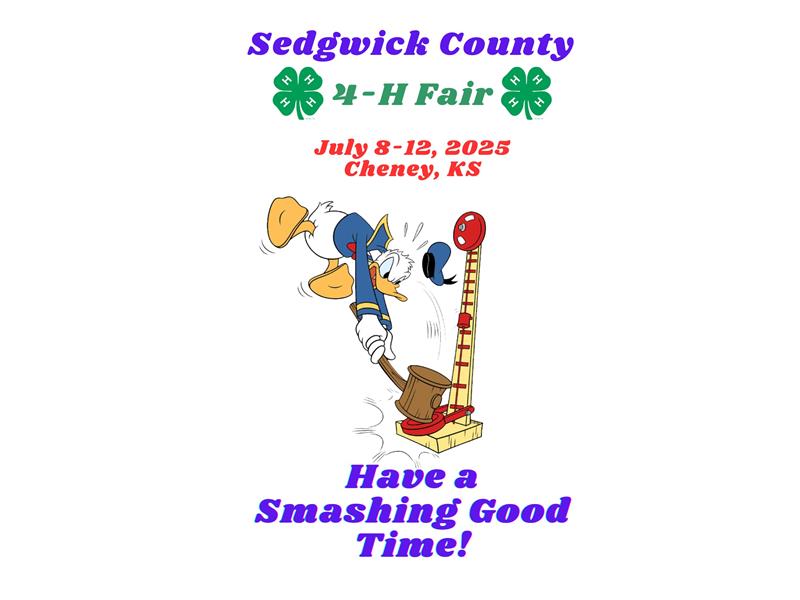 Fair Logo